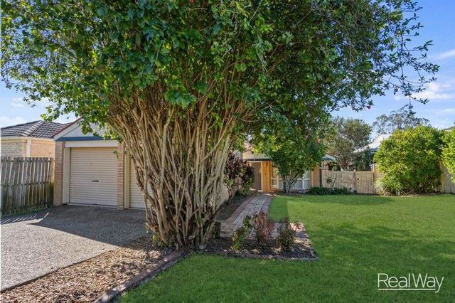 12 Willowtree Drive, QLD 4305