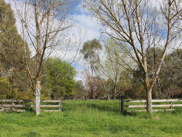 5 Rowe Street, VIC 3722