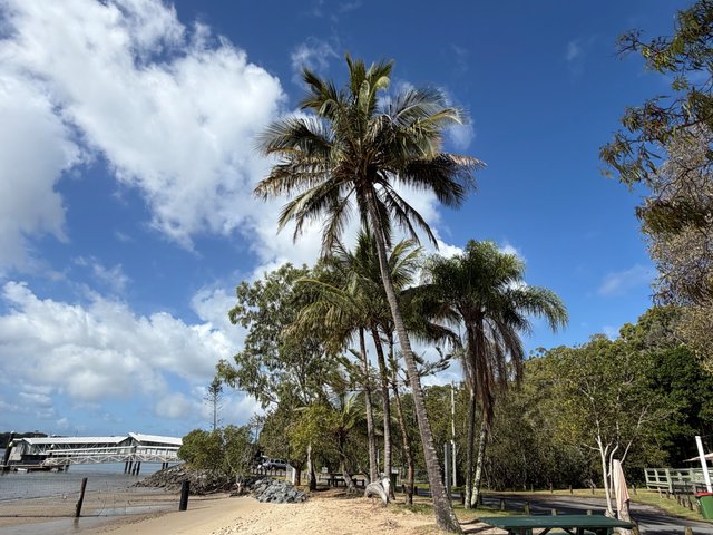 19 Fiji Street, QLD 4184