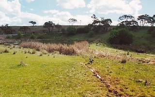 dam (2001-11-02)