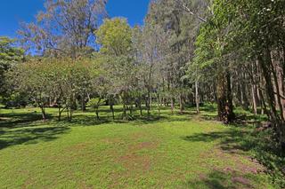 rear garden toward beach