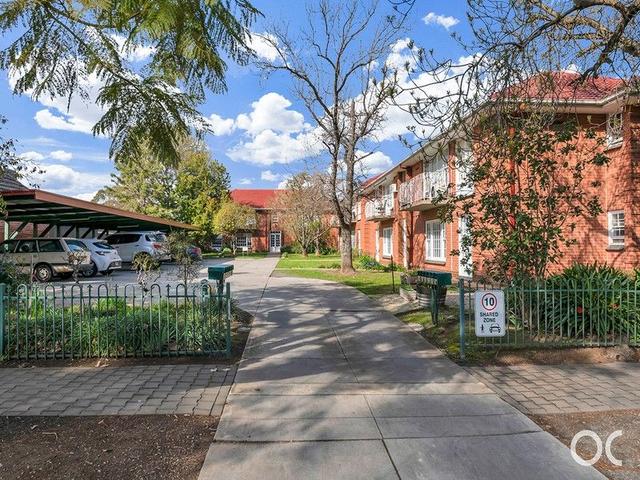 5/33 Kitchener Street, SA 5062