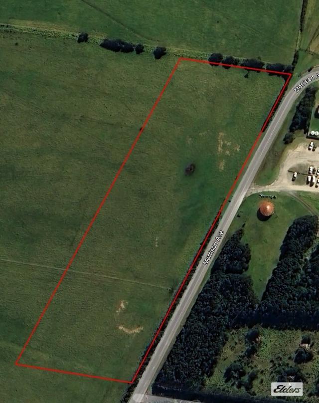 45 Morrison Avenue, TAS 7256
