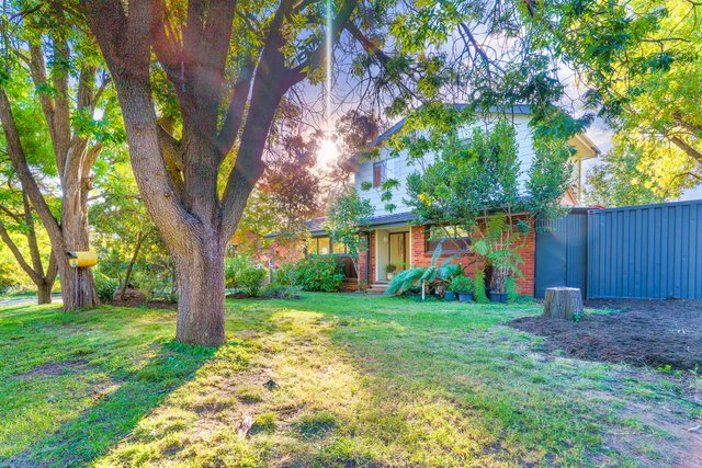 16 Hedley Street, ACT 2602