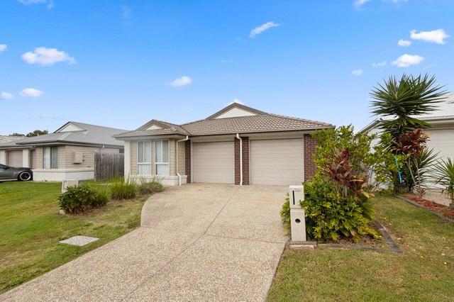 24B Daintree Court, QLD 4125