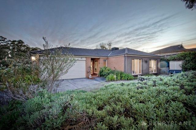 12 Vista Court, VIC 3783