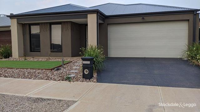 31 Montia Street, VIC 3029