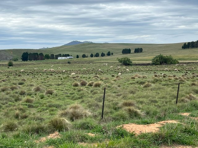 25 Karinya Plains Road, NSW 2620