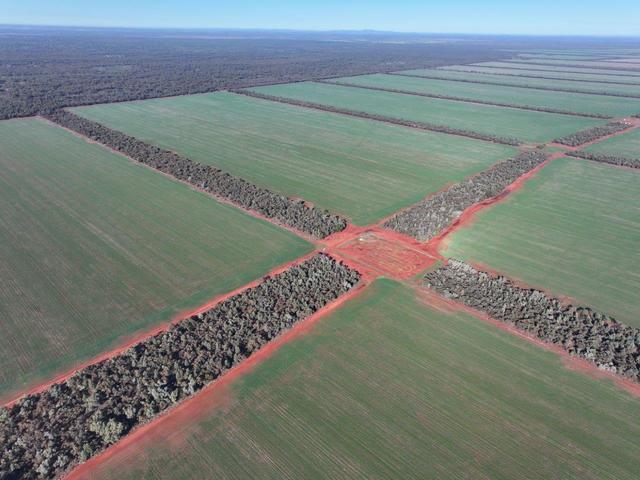 'Harolds', 2005 Palesthan Road, NSW 2877