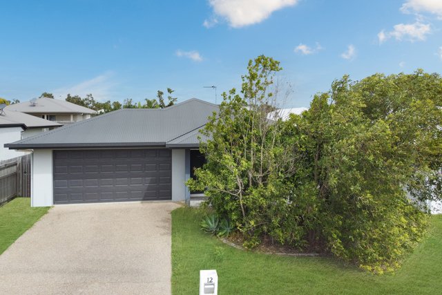 12 Merritt Court, QLD 4818