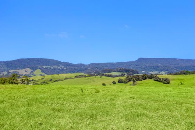 Lot 22 Jamberoo Road, NSW 2533