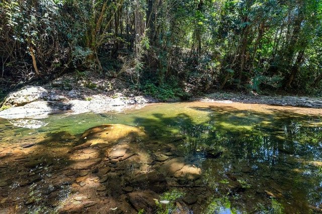 50-52 Cascades Drive, QLD 4870