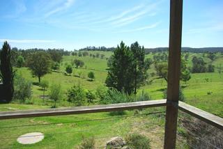 Patio view 