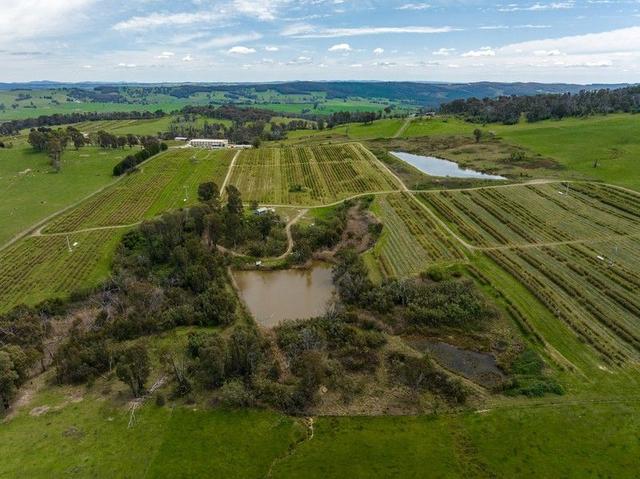 134 Taradale  Road, NSW 2653