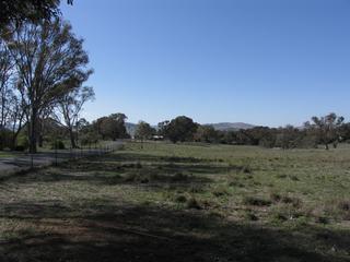 Front Paddock