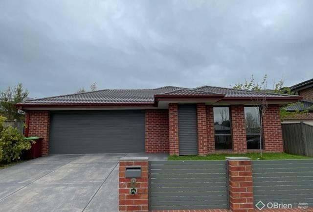 8 Barwon Street, VIC 3978