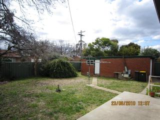 Backyard (2010-08-24)