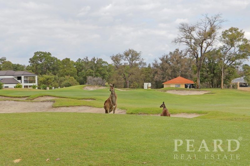 6 Petworth Drive, The Vines WA 6069 Allhomes