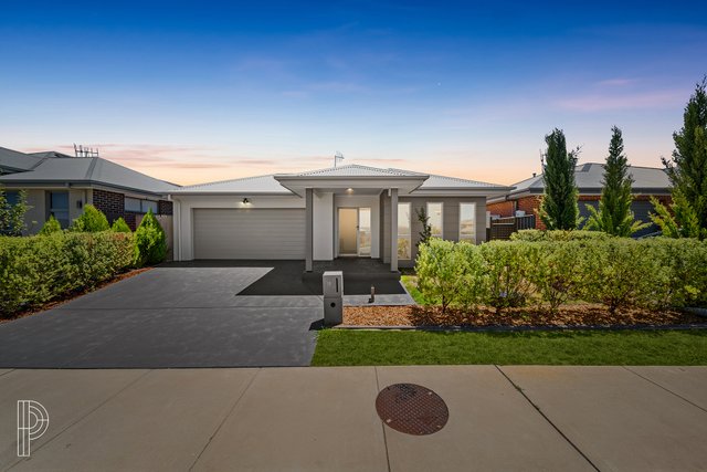 19 Newcombe Street, NSW 2620