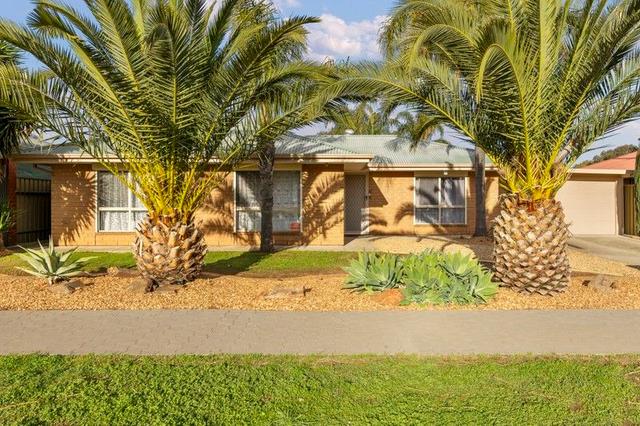 20 Bishopstone Road, SA 5113