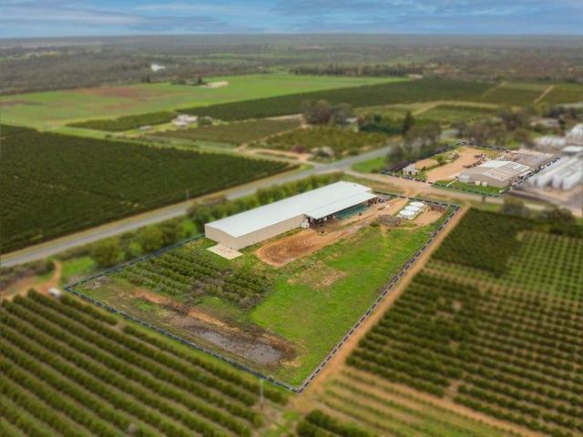 99 Link Road, NSW 2739