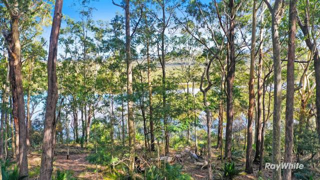 73 Litchfield Crescent, NSW 2536