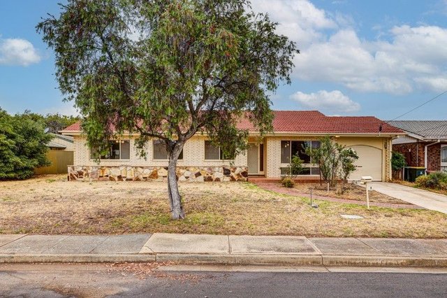 7 Pitcairn Avenue, SA 5043