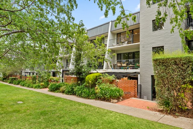 36/10 Ovens Street, ACT 2603