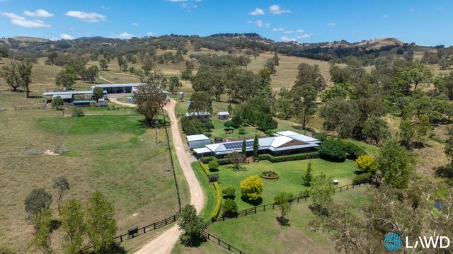 621 Old Wallabadah Road, NSW 2338