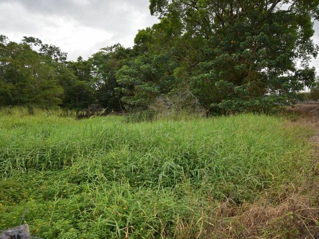 Lot 7 Tully Gorge Road, QLD 4854