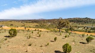Views (2019-03-20)