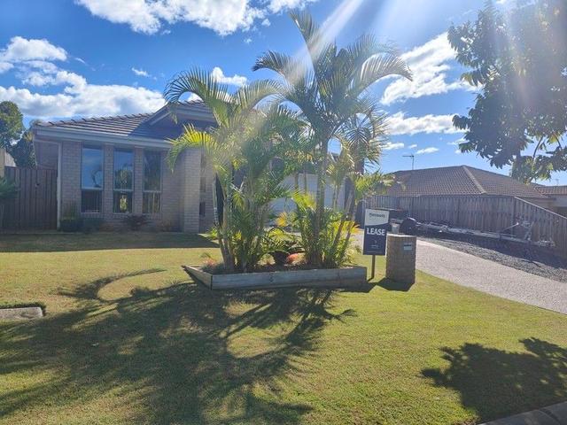 17 Starkey Street, QLD 4211
