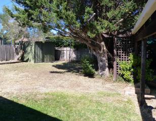 Backyard (2013-05-14)