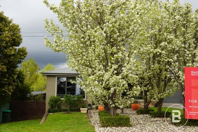 505 Eyre Street, VIC 3357