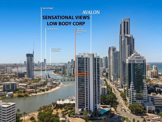 2201/4 Wahroonga  Place, QLD 4217