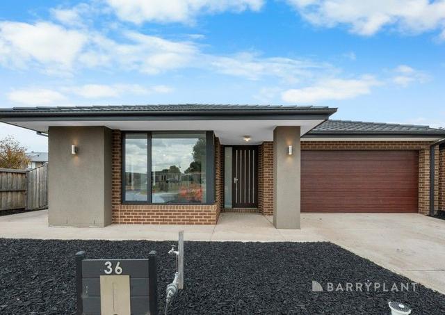 36 Distinction Crescent, VIC 3029