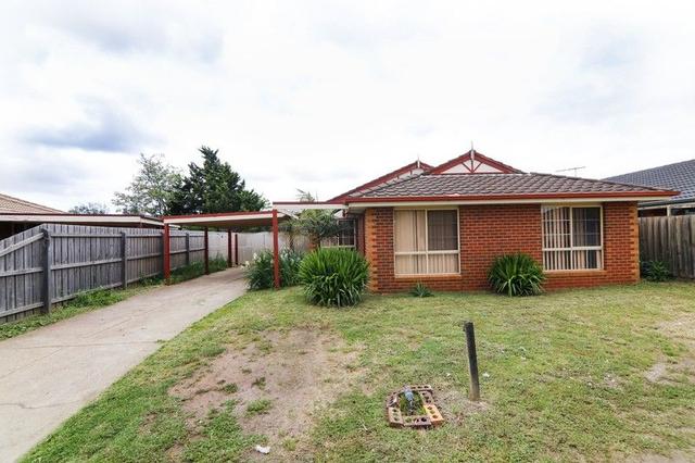 50 Wilmington  Avenue, VIC 3029