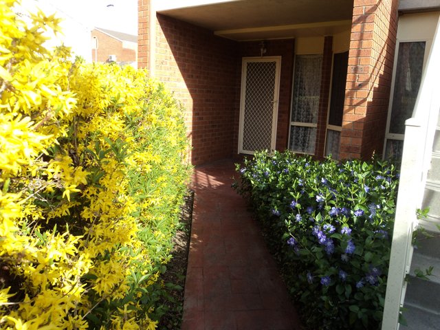 23/12 Albermarle Place, ACT 2606