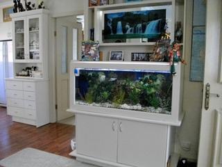 FISH TANK FEATURE