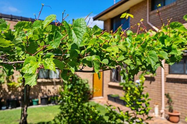 26 Gordon Road, NSW 2261