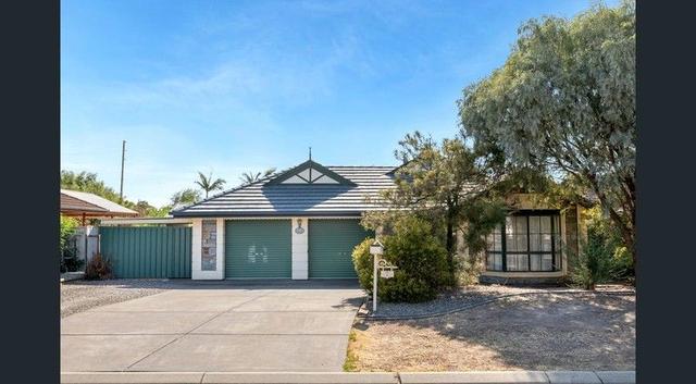 7 Litchfield Avenue, SA 5114