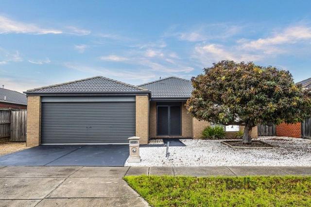 17 Abernethy Avenue, VIC 3023