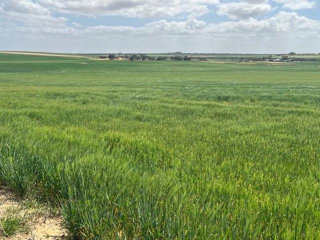 162 Pope Road, SA 5307