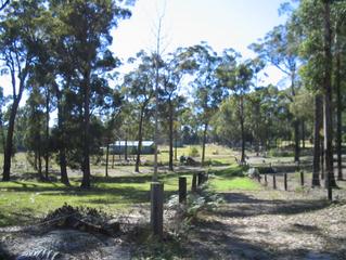 Land (2008-03-17)