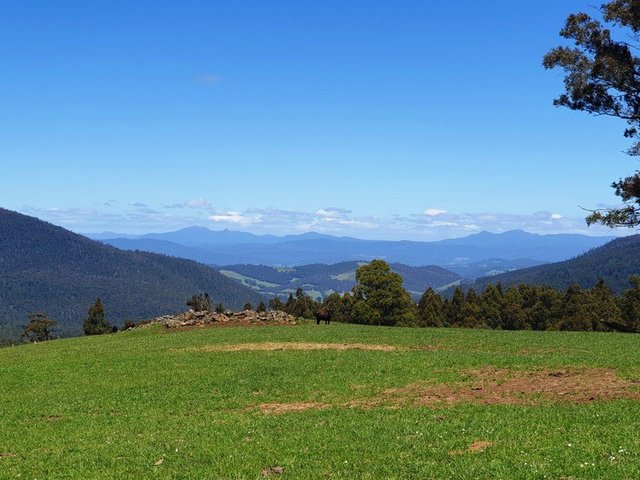 Lot 1 (51 Acres) Coal Mine Road, TAS 7150