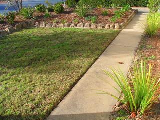 Front Garden Bed