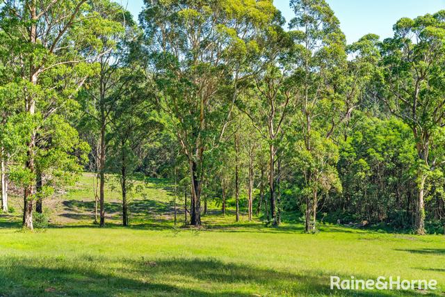 Lot 122 Egans Farm Lane, NSW 2539