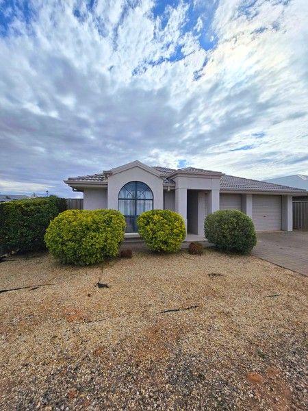 1 Johnston  Place, SA 5609