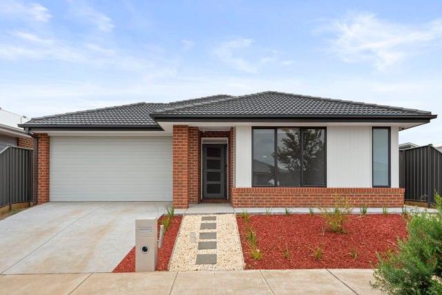 10 Findlay Avenue, VIC 3223