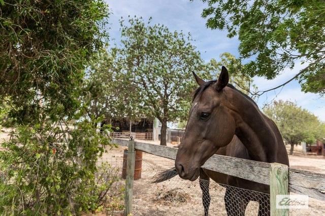 1788 Heathcote-Redesdale  Road, VIC 3444